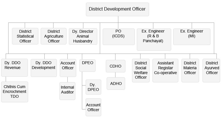 District Level Officer
